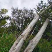 ヒメ日記 2025/10/07 16:18 投稿 りさ 奥様プリモ