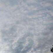 ヒメ日記 2025/10/07 17:19 投稿 りさ 奥様プリモ