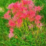 ヒメ日記 2025/10/09 11:19 投稿 りさ 奥様プリモ