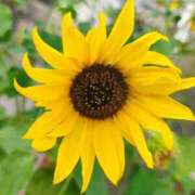 ヒメ日記 2025/10/09 12:19 投稿 りさ 奥様プリモ