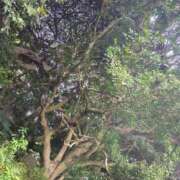 ヒメ日記 2025/10/14 16:09 投稿 りさ 奥様プリモ