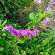 ヒメ日記 2025/10/14 17:19 投稿 りさ 奥様プリモ