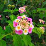 ヒメ日記 2025/10/22 15:19 投稿 りさ 奥様プリモ