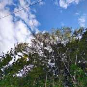 ヒメ日記 2025/10/27 13:09 投稿 りさ 奥様プリモ