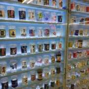 ヒメ日記 2025/11/07 11:21 投稿 りさ 奥様プリモ