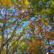 ヒメ日記 2025/11/07 15:09 投稿 りさ 奥様プリモ