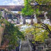 ヒメ日記 2025/11/07 17:14 投稿 りさ 奥様プリモ