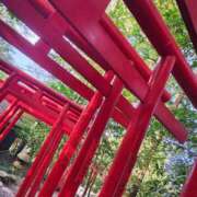 ヒメ日記 2025/11/10 15:19 投稿 りさ 奥様プリモ