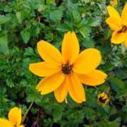 ヒメ日記 2025/11/13 10:20 投稿 りさ 奥様プリモ