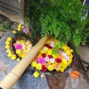 ヒメ日記 2025/11/13 11:19 投稿 りさ 奥様プリモ