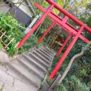 ヒメ日記 2025/11/14 14:09 投稿 りさ 奥様プリモ