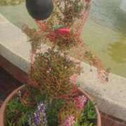 ヒメ日記 2025/11/14 18:09 投稿 りさ 奥様プリモ