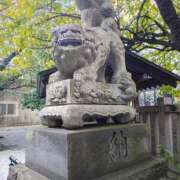 ヒメ日記 2025/11/16 23:09 投稿 りさ 奥様プリモ