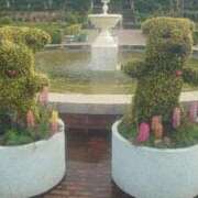 ヒメ日記 2025/11/17 00:19 投稿 りさ 奥様プリモ