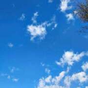 ヒメ日記 2025/11/20 13:09 投稿 りさ 奥様プリモ