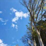 ヒメ日記 2025/11/20 15:09 投稿 りさ 奥様プリモ