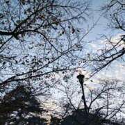 ヒメ日記 2025/12/04 13:09 投稿 りさ 奥様プリモ