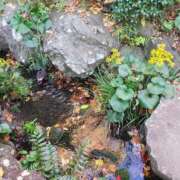 ヒメ日記 2025/12/08 12:19 投稿 りさ 奥様プリモ