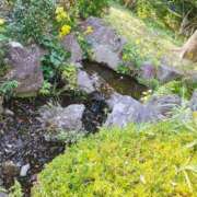 ヒメ日記 2025/12/08 13:09 投稿 りさ 奥様プリモ