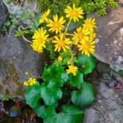 ヒメ日記 2025/12/08 14:19 投稿 りさ 奥様プリモ