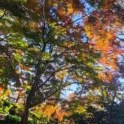 ヒメ日記 2025/12/08 16:09 投稿 りさ 奥様プリモ