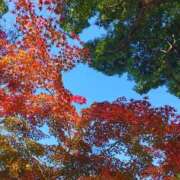 ヒメ日記 2025/12/08 18:19 投稿 りさ 奥様プリモ