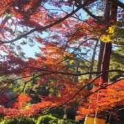 ヒメ日記 2025/12/11 13:19 投稿 りさ 奥様プリモ