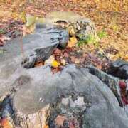 ヒメ日記 2025/12/11 19:19 投稿 りさ 奥様プリモ