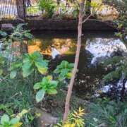 ヒメ日記 2025/12/13 10:19 投稿 りさ 奥様プリモ