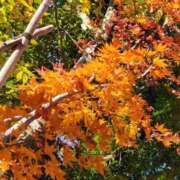 ヒメ日記 2025/12/13 13:19 投稿 りさ 奥様プリモ