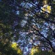 ヒメ日記 2025/12/19 10:09 投稿 りさ 奥様プリモ