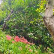 ヒメ日記 2025/12/19 11:09 投稿 りさ 奥様プリモ