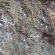 ヒメ日記 2025/12/19 13:19 投稿 りさ 奥様プリモ