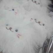 ヒメ日記 2025/12/24 23:09 投稿 りさ 奥様プリモ