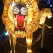 ヒメ日記 2025/12/25 00:19 投稿 りさ 奥様プリモ