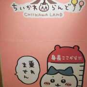 ヒメ日記 2025/12/25 10:19 投稿 りさ 奥様プリモ