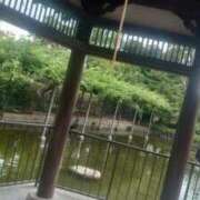 ヒメ日記 2025/12/25 15:19 投稿 りさ 奥様プリモ