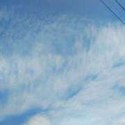 ヒメ日記 2025/12/31 10:19 投稿 りさ 奥様プリモ