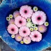 ヒメ日記 2026/01/02 14:19 投稿 りさ 奥様プリモ