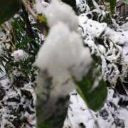 りさ 今週は 奥様プリモ