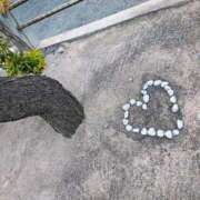 ヒメ日記 2026/01/13 12:17 投稿 りさ 奥様プリモ