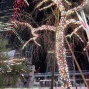 ヒメ日記 2026/01/13 14:19 投稿 りさ 奥様プリモ