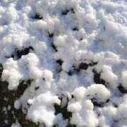 りさ ふと 奥様プリモ