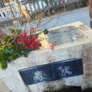 ヒメ日記 2026/01/19 11:19 投稿 りさ 奥様プリモ