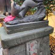 ヒメ日記 2026/01/20 12:19 投稿 りさ 奥様プリモ