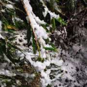 ヒメ日記 2026/01/21 14:09 投稿 りさ 奥様プリモ