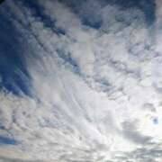 ヒメ日記 2026/01/23 14:09 投稿 りさ 奥様プリモ