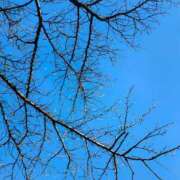 ヒメ日記 2026/01/28 12:09 投稿 りさ 奥様プリモ