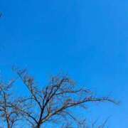 ヒメ日記 2026/01/31 12:19 投稿 りさ 奥様プリモ