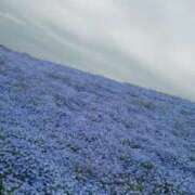 ヒメ日記 2026/02/02 12:09 投稿 りさ 奥様プリモ